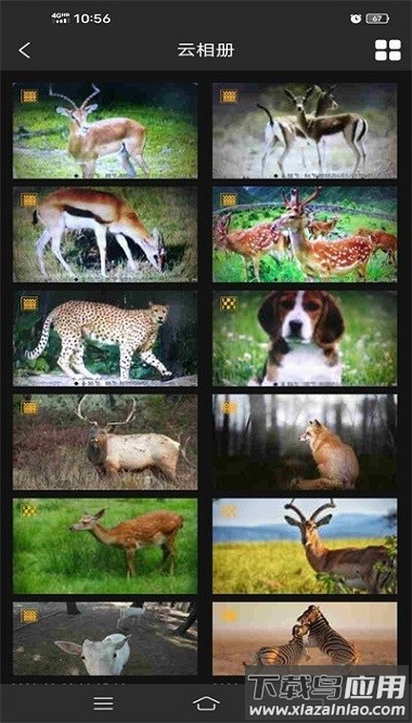 trailcam go app截图2