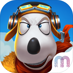 倒霉熊皇牌空战游戏