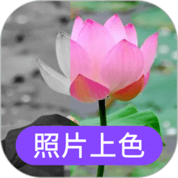 照片上色app