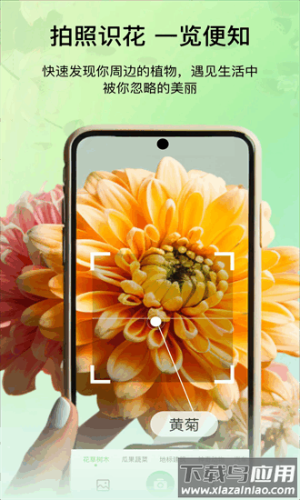 花卉识别图鉴app截图4