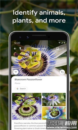 谷歌智能镜头官方版最新版截图2