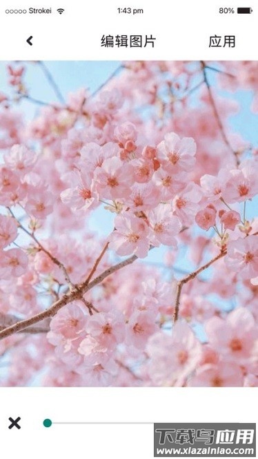 p图照片处理软件最新版截图1