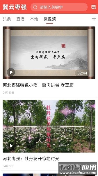 冀云枣强客户端截图3