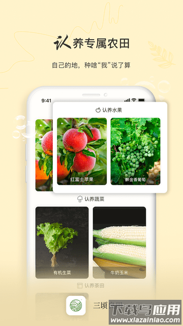 三顷良田平台截图1