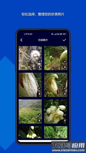 魔法音乐相册软件截图2