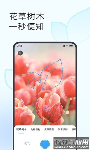 拍照识别植物手机版截图1