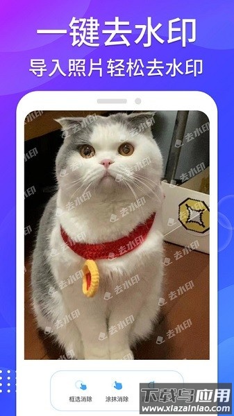 哈屏去水印相机截图3