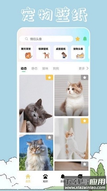 桌面宠物壁纸app截图2