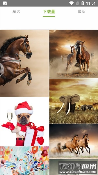 九龙图库官方正版截图2