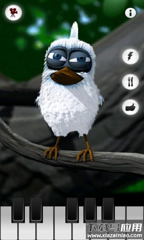 会说话的拉里鸟最新版本最新版截图3