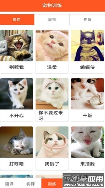 萌趣猫狗翻译器软件最新版截图2