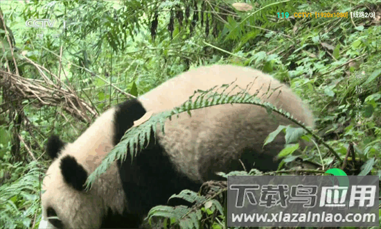 v3tv最新版本最新版截图3