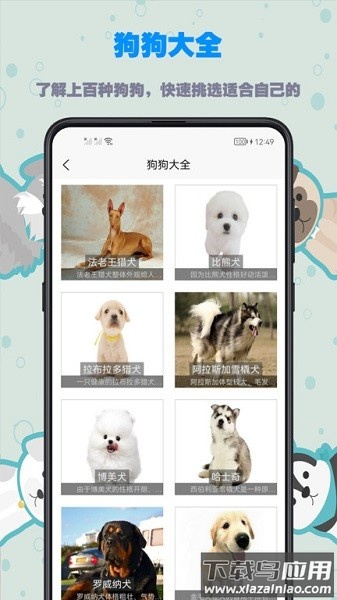 训狗教程软件截图3