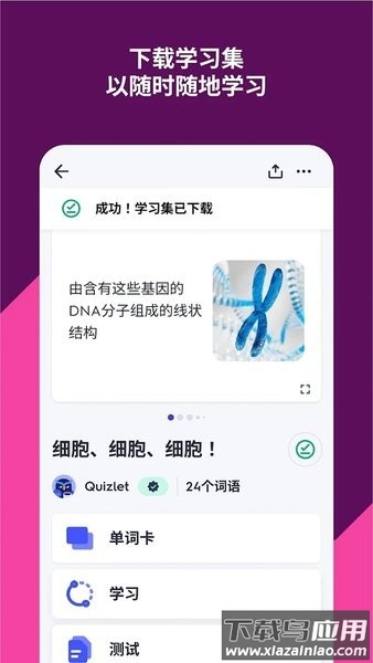 quizlet英语最新版2024截图2