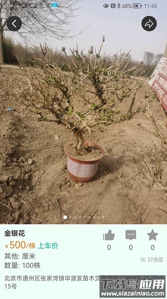 苗木人软件截图