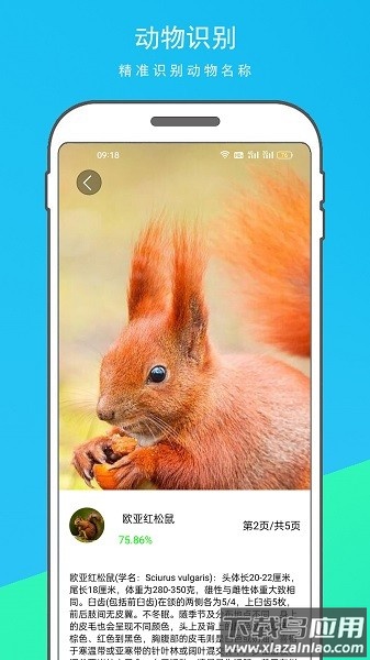 万物识别王软件截图1
